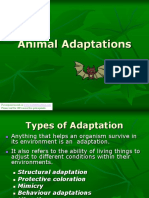 Animal Adaptations I