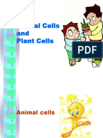 Animal Cells and Plant Cells