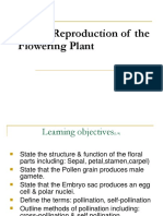 Sexual and Asexual Repro in Plants