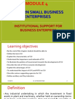 15ae51-M&e/module 4 - Modern Small Business Enterprise, Institutional Support For Business Enterprise