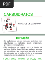 Resumo Carboidrato 