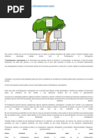 Cómo Elaborar Un Familiograma o Genograma Paso A Paso