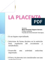 Placenta