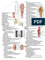 Gross HSB A - Gluteal Region, Hip Joint, and Posterior Thigh