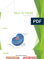 Cells Vs Tissues: Smallest Organ of The Body