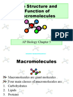 The Structure and Function of Macromolecules: AP Biology Chapter 5