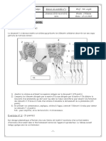 6016113dc1 4sc1 LFH 2010 PDF