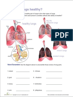 Are Your Lungs Healthy PDF