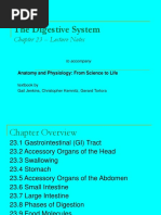 The Digestive System: Chapter 23 - Lecture Notes