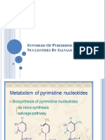 Pyrimidine & Biosynthesis of Deoxyribonucleotides