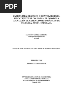 Caficultura Orgánica E Identidades en El Suroccidente de Colombia. El Caso de La Asociación de Caficultores Orgánicos de Colombia, Acoc - Café Sano