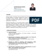 Paul Molina CV (Recuperado)