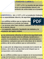 Practica Forense Laboral