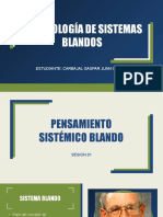 Metodología de Sistemas Blandos-Resumen