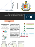 Comunicación Intra e Intercelular