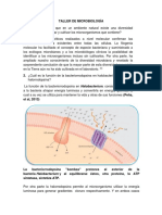 Taller de Microbiologia Primer Corte