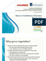 Basics of Vegetable Production