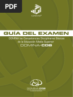 Guiadomina 16 PDF