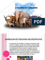 Animales en Peligro de Extincion