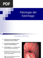 Alumnos Patología Estómago