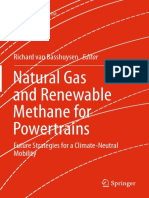 2016 Book NaturalGasAndRenewableMethaneF