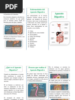 Triptico Aparato Digestivo