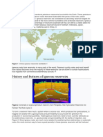 History and Features of Igneous Reservoirs