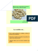 Fundamentos de La Multiplicación de Plantas para Agricultores