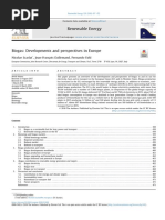 Renewable Energy: Nicolae Scarlat, Jean-François Dallemand, Fernando Fahl