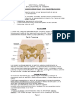 Evaluación de La Pelvis Materna