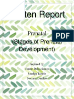 Written Report: Prenatal (Stages of Prenatal Development)