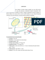 Ampicilin