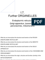 I.7. Further ORGANELLES: Endoplazmic Reticulum, Golgi-Apparatus, Lysosomes, Peroxisomes, Mitochondria