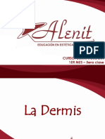 La Dermis