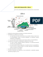 Segunda Semana de Desarrollo