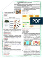 Bimestral Naturales Periodo 4