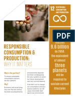 Un Sustainable Development Goal 12