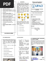 Triptico Los Estados de Animo