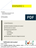 Seminario 1 - FMH Usmp - Salud Publica II - Finalfinal