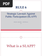 Rule 6: Strategic Lawsuit Against Public Participation (SLAPP)