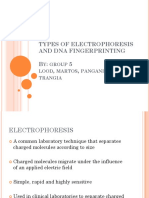 Types of Electrophoresis and Dna Fingerprinting B: 5,, ,: Y Group Lood Martos Panganiban Trangia