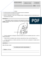 Pe Prova - 2o Tri - 5o Ano Fundamental I - 2019