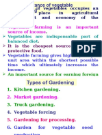 Importance of Vegetable Farming: Important Place in Agricultural Development and Economy of The Country