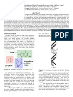 Isolation and Characterization of Nucleic Acids From An Onion (Allium Cepa)