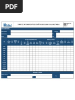 Copia de 06 Registro de Datos para Las Estadisticas de SST Mensual