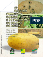 Mid e Mip Da Batata