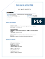 Curriculum Vitae: Cesar Agustín Loroño Brito