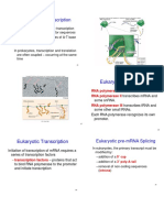 Prokaryotic Transcription