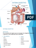 Sistema Digestivo Diapositivas