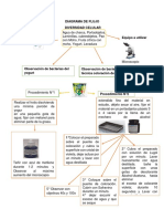 Biología Celular